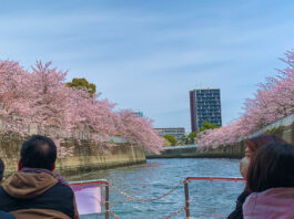 Set Sail on a Cherry Blossom River Cruise in Tokyo