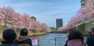 Set Sail on a Cherry Blossom River Cruise in Tokyo