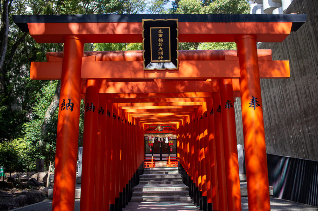 Ikuta Jinja torii tunnel 