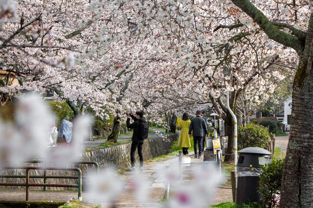 The Philosopher’s Path in Kyoto