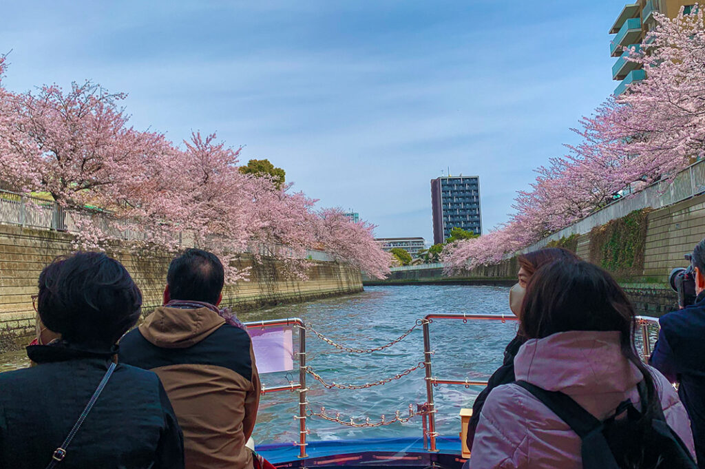 Cherry Blossom River Cruise in Tokyo 