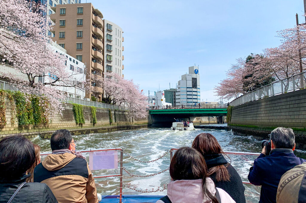 Cherry Blossom River Cruise in Tokyo 